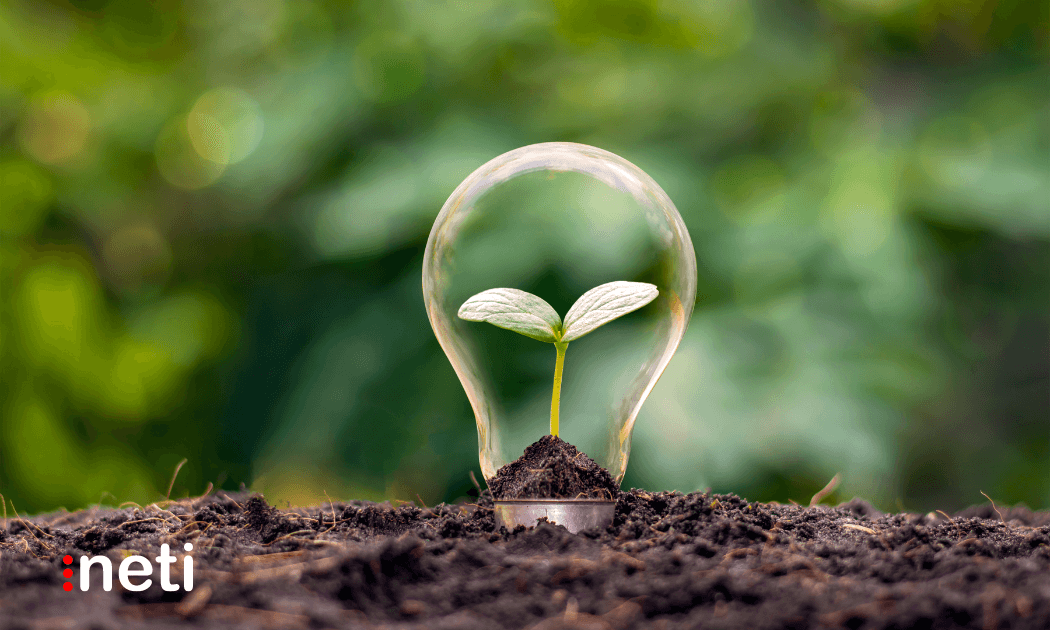 Blockchain Features: The New Path to Sustainability