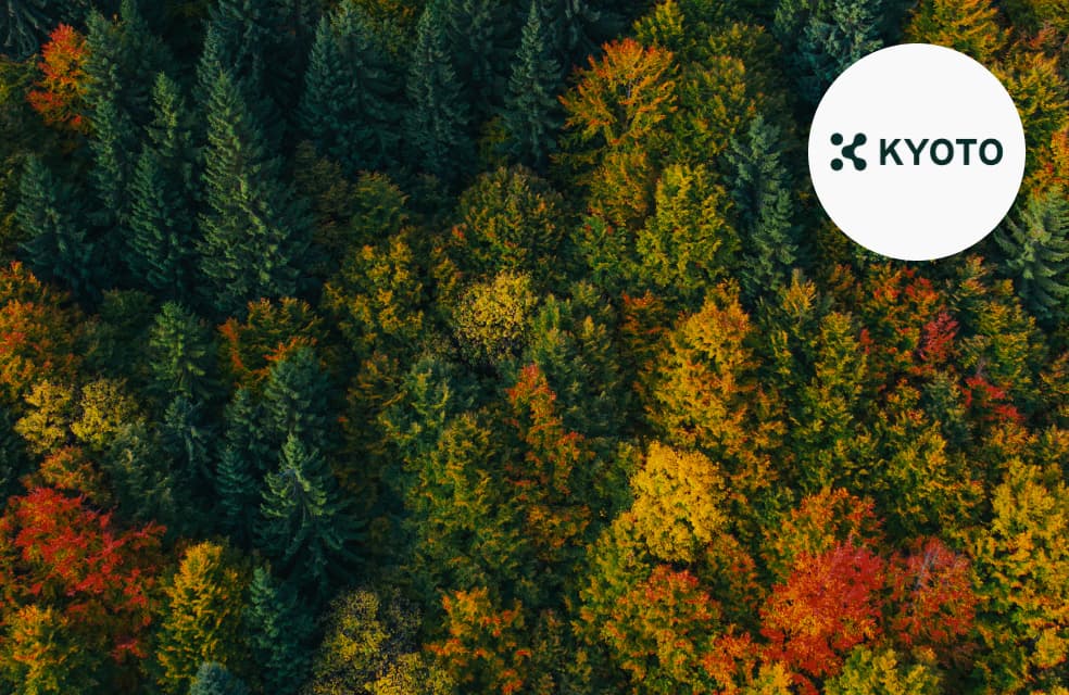 Rescuing the Climate: A Blockchain That Cares for the Environment
