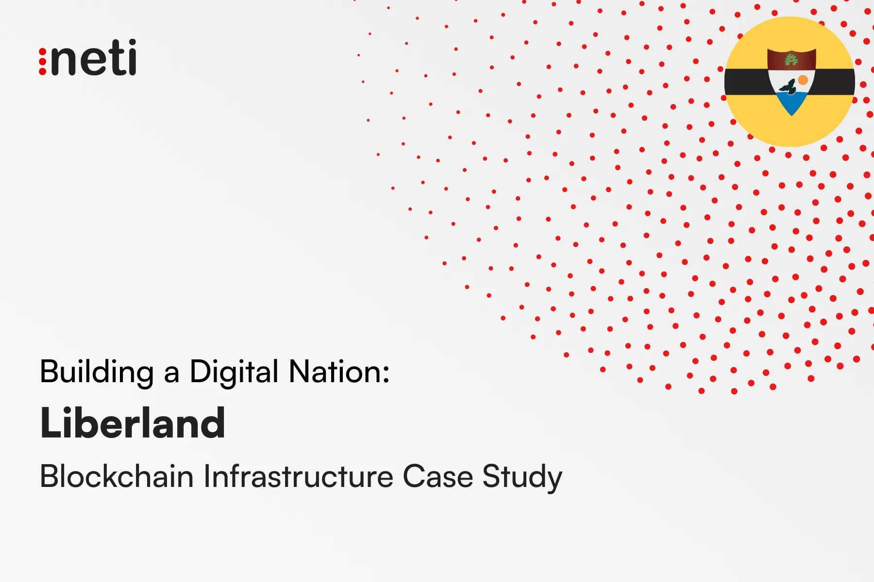 Building a Digital Nation: A Liberland Blockchain Infrastructure Case Study